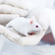 Image for article titled io9 Science Survey: Tell Us About Working With Rodents in the Lab